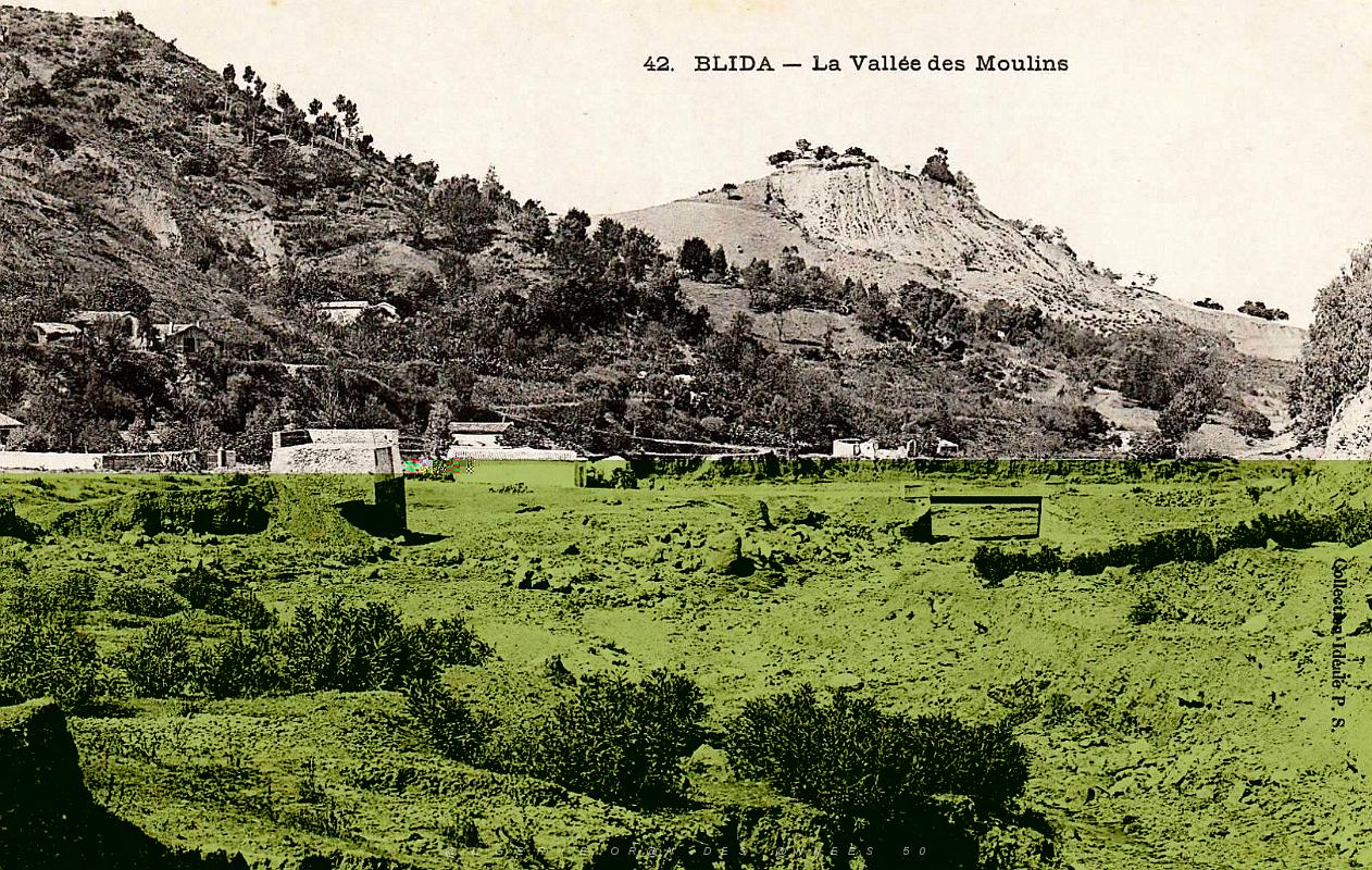 Blida - Vallee des Moulins.jpg